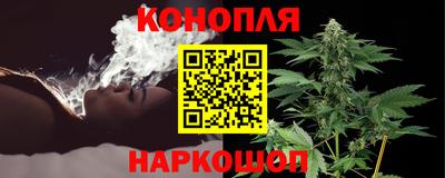 спиды Дубна