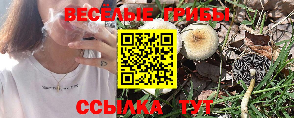 Псилоцибиновые грибы мицелий Лабытнанги